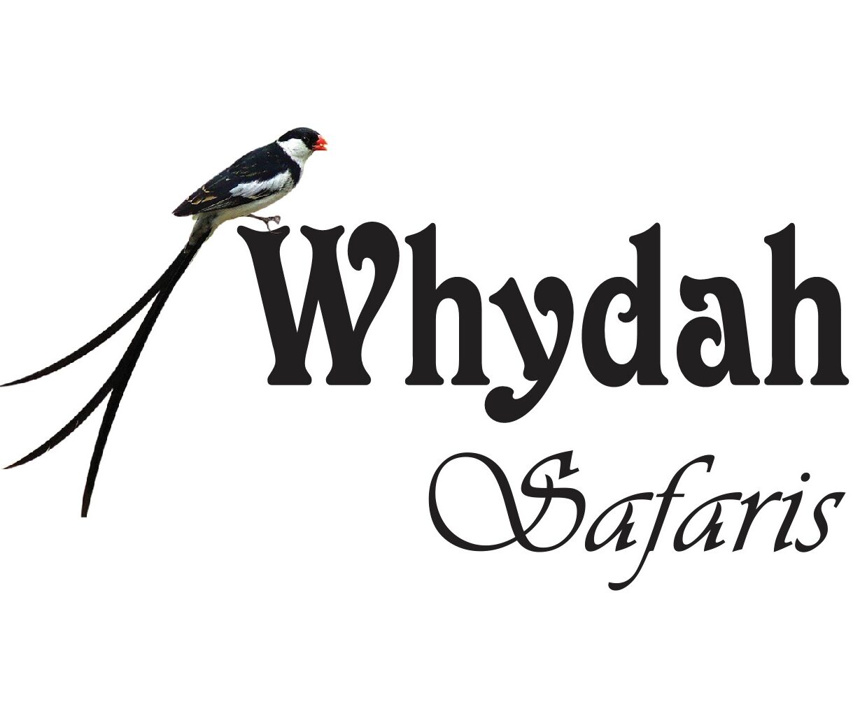 Whydah Safaris